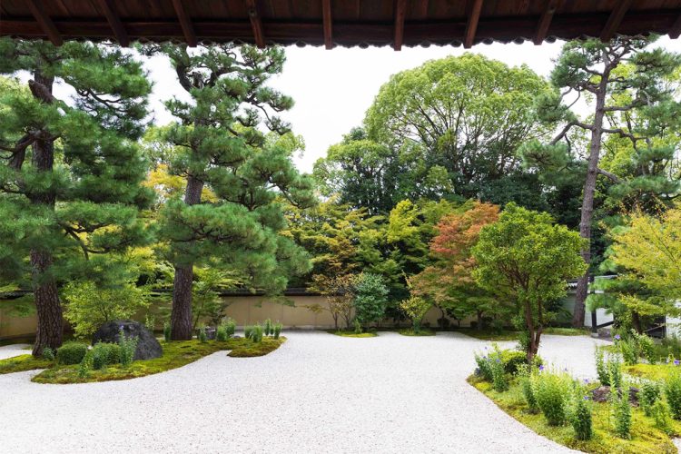 紫式部ゆかりの地！廬山寺